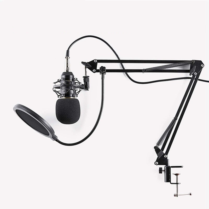 Kondenzatorski profesionalni Mikrofon BM-800