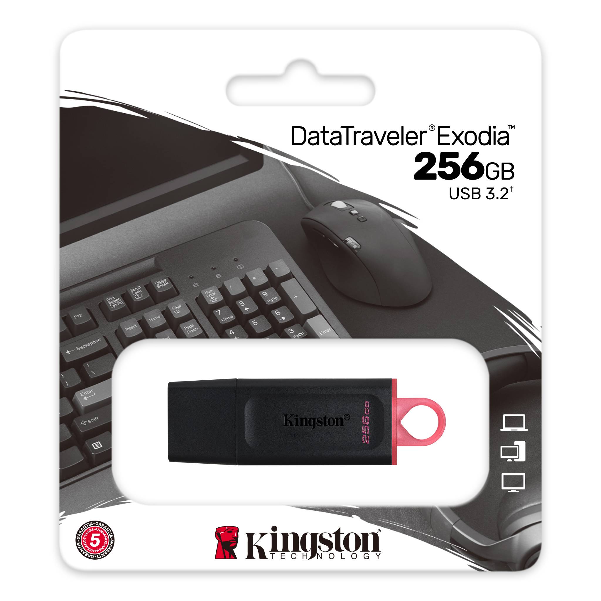 USB Kingston FD 256GB USB3.2 DTX