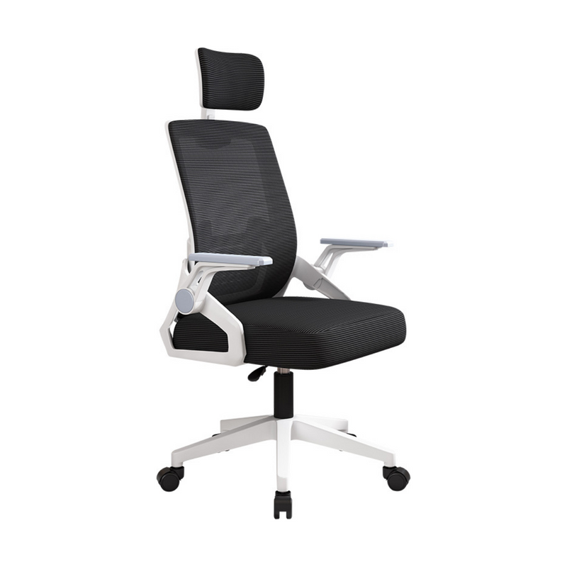 54029-main