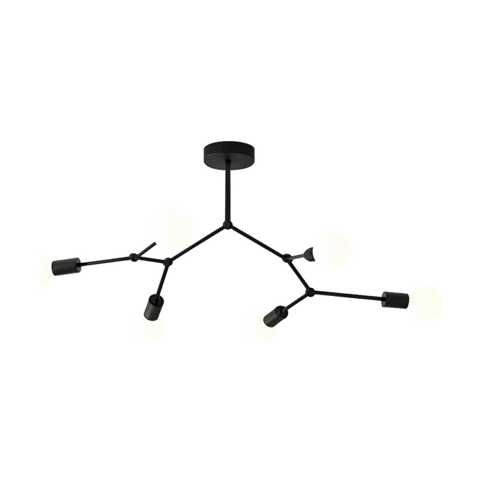 62396-main