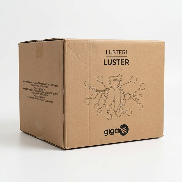 62422-box