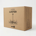 62424-box