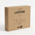62428-box