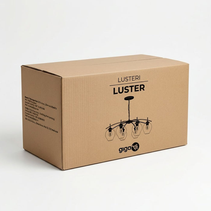 62431-box