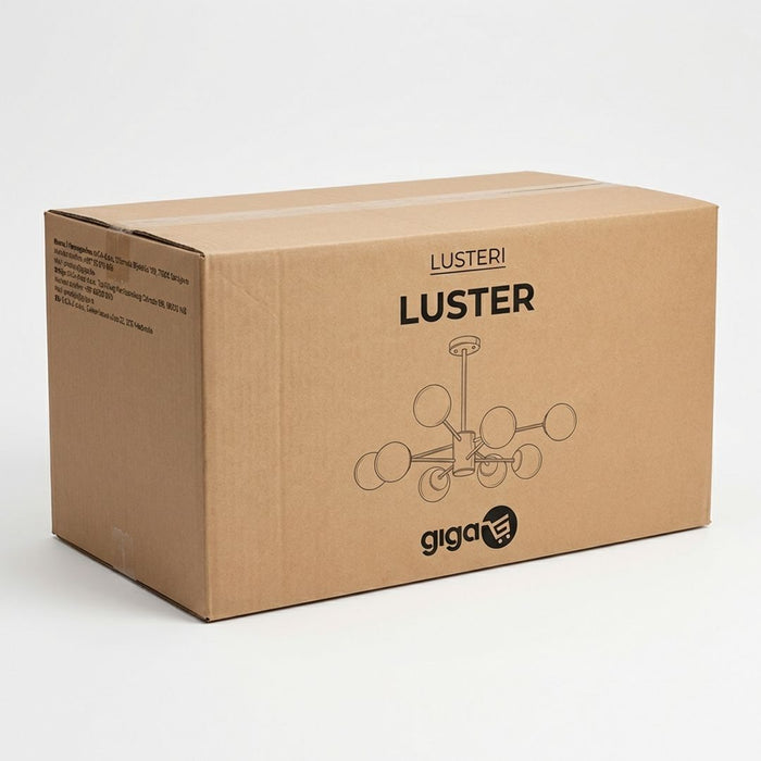 62436-box
