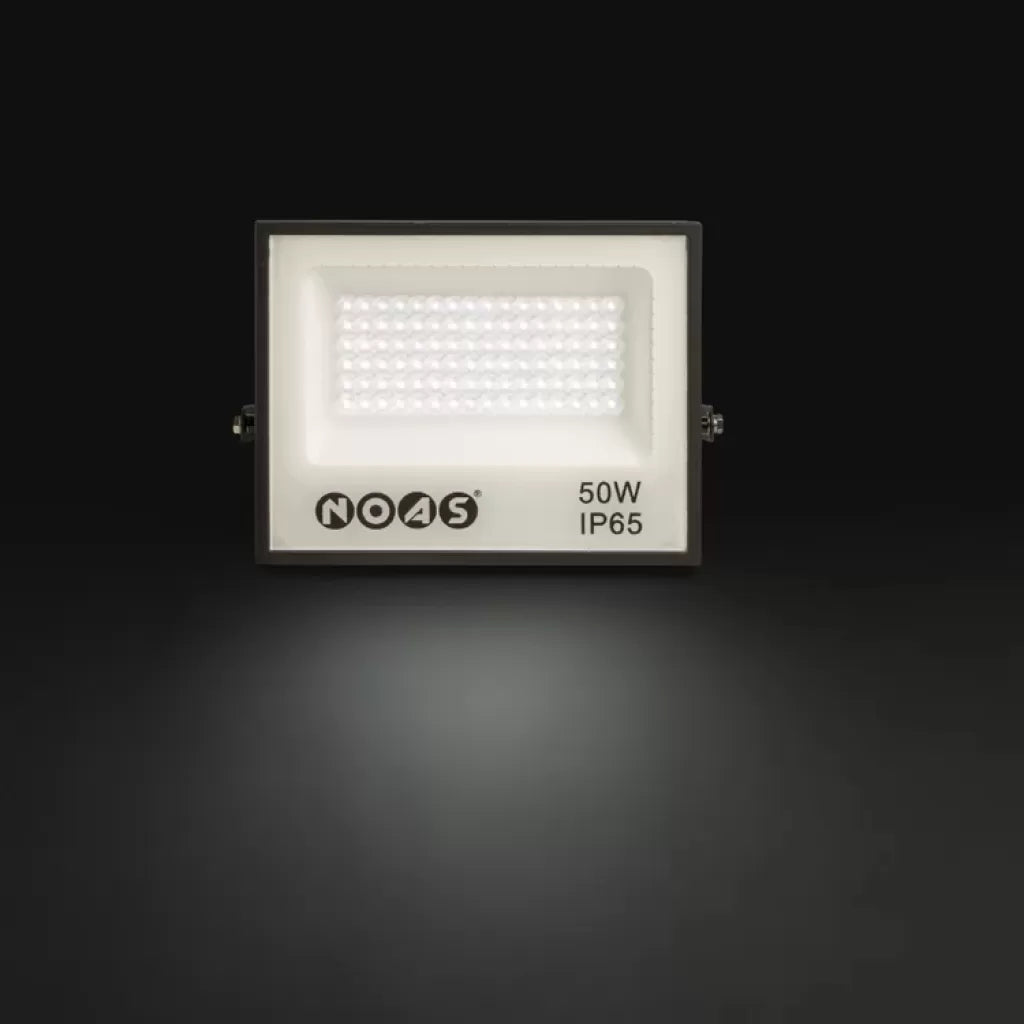 LED vodootporni reflektor 50W 6500K