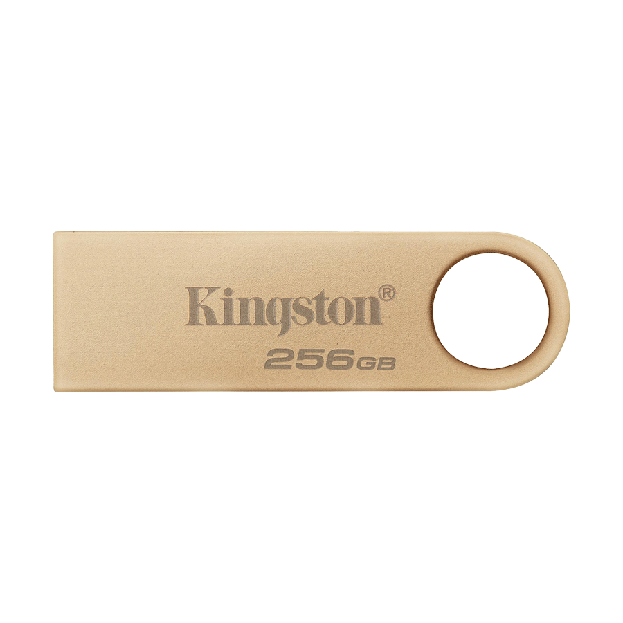 USB Stick Stik Kingston DT 256GB Premium Metal